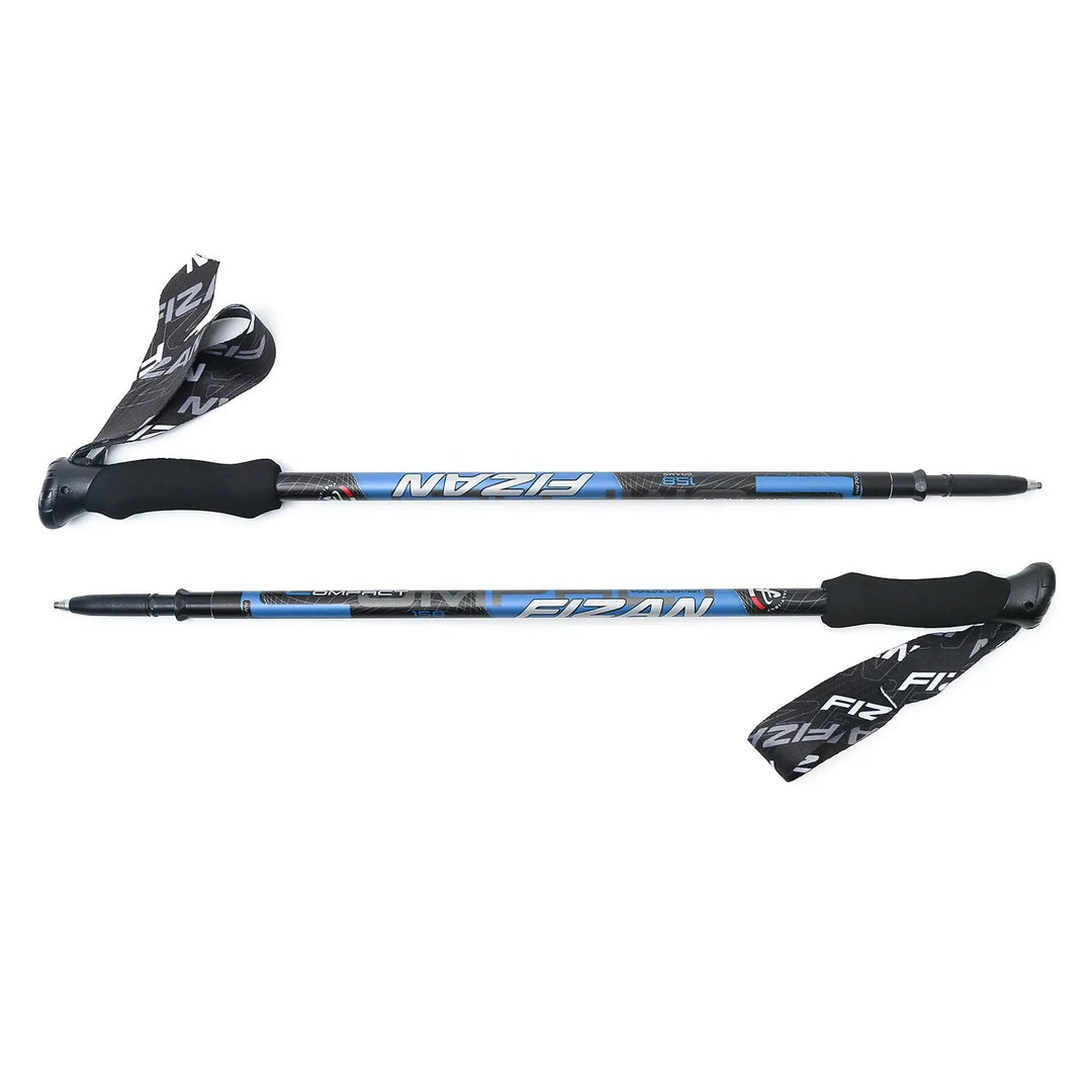 Fizan trekking pole online