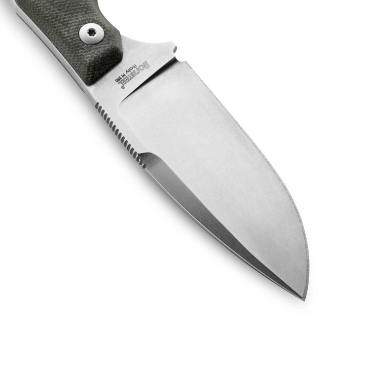 LionSTEEL H2