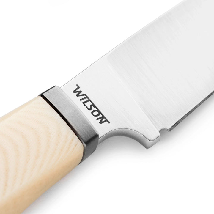 LionSTEEL Willy Fixed Blade