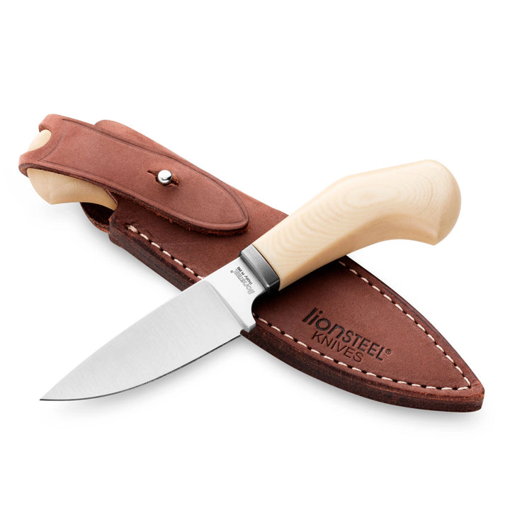 LionSTEEL Willy Fixed Blade