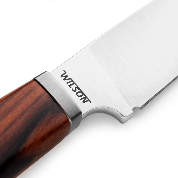 LionSTEEL Willy Fixed Blade