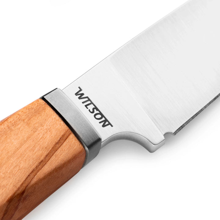 LionSTEEL Willy Fixed Blade